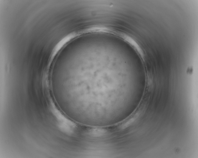 X0000092071090200709121411