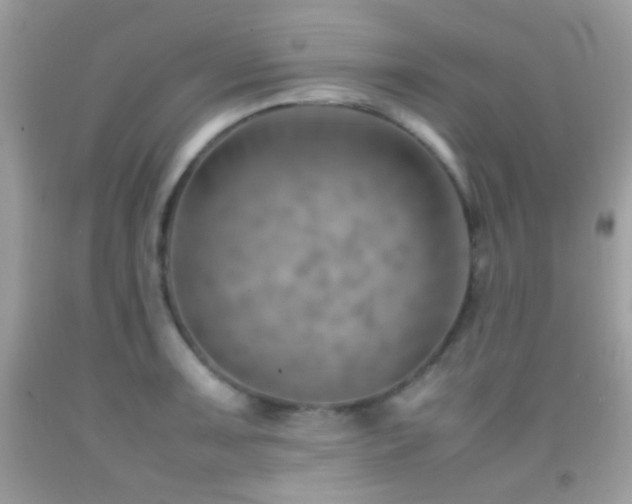 X0000092071091200709121411