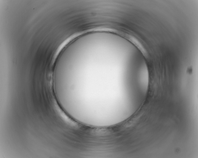 X0000092071092200709121411