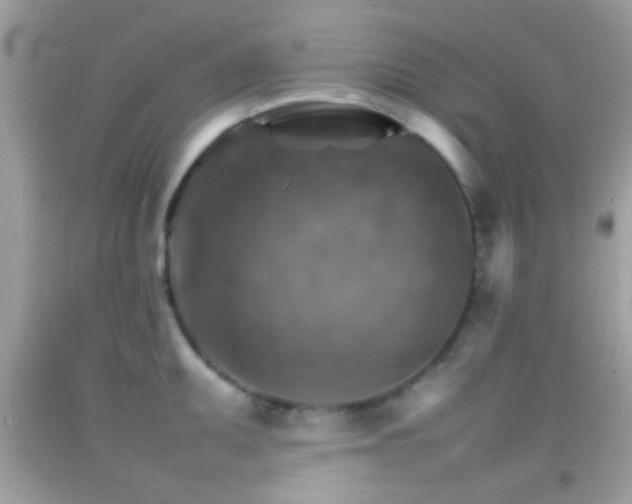 X0000092071095200709121411