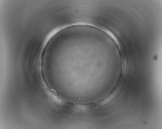 X0000092071096200709121411