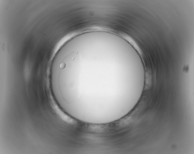 X0000092071098200709121411