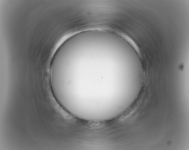 X0000092071099200709121411