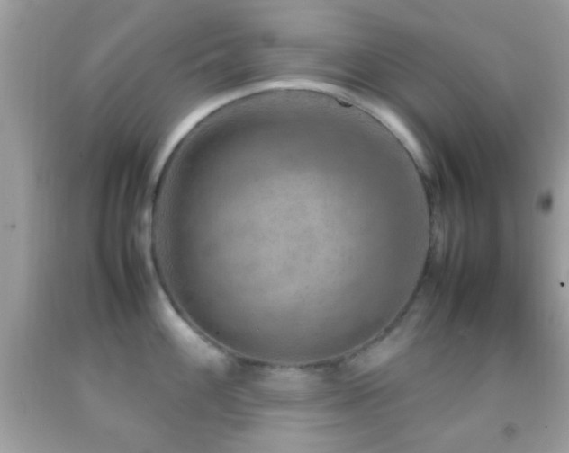 X0000092071100200709121411
