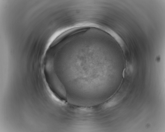X0000092071102200709121411
