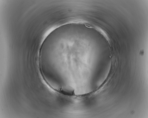 X0000092071103200709121411
