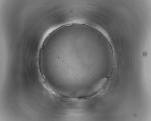 X0000092071104200709121411
