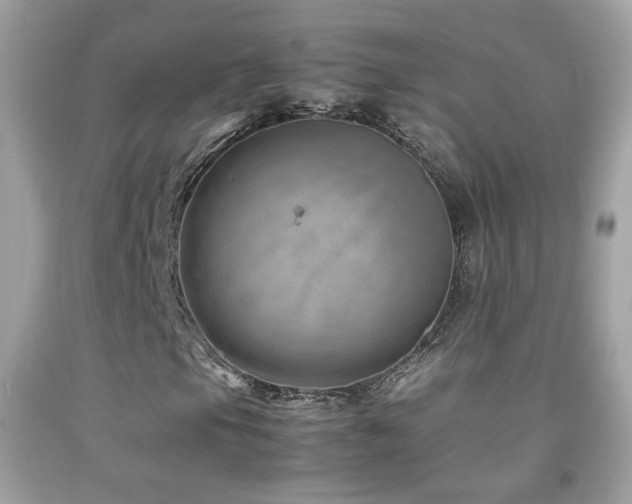 X0000092071105200709121410