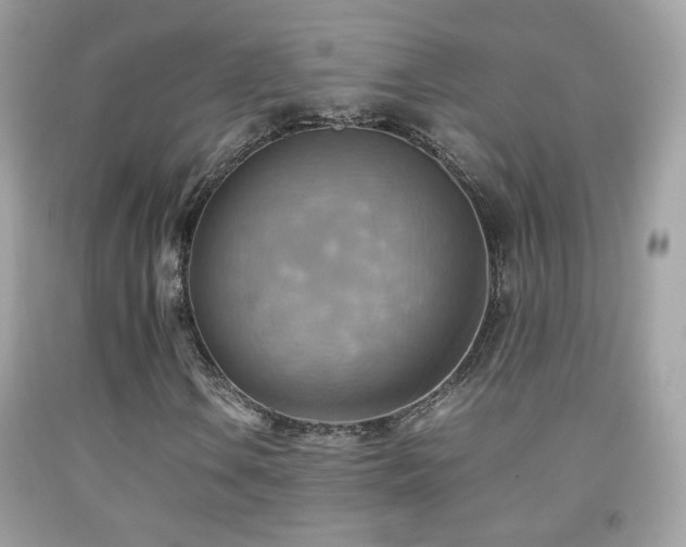 X0000092071106200709121410