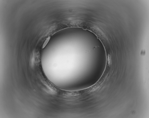 X0000092071107200709121410