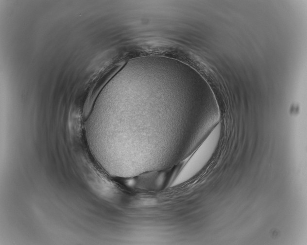 X0000092071108200709121410