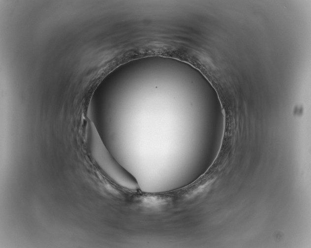 X0000092071109200709121410