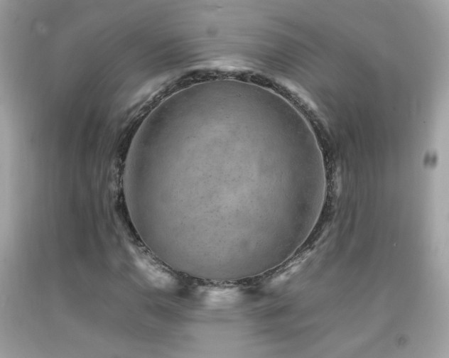 X0000092071110200709121410