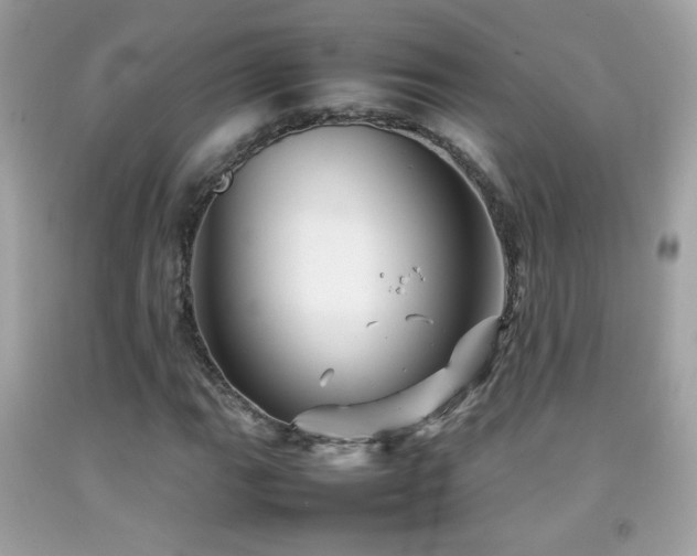 X0000092071111200709121410