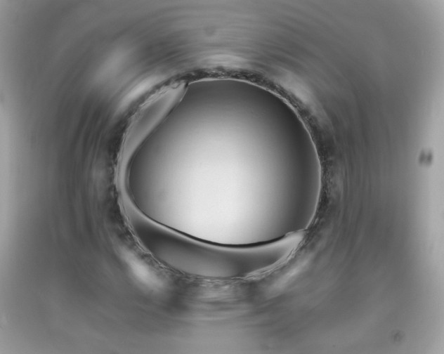 X0000092071112200709121410