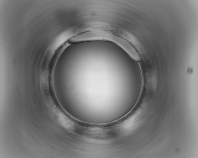 X0000092071114200709121411