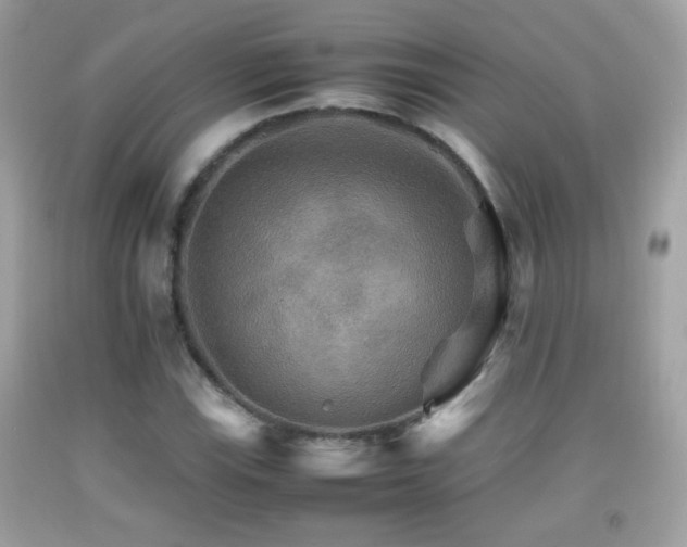 X0000092071115200709121411