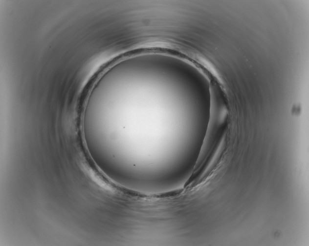 X0000092071116200709121411