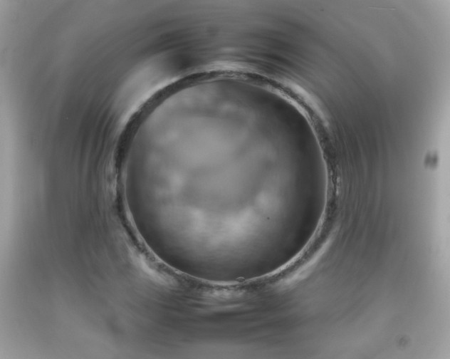 X0000092071117200709121411