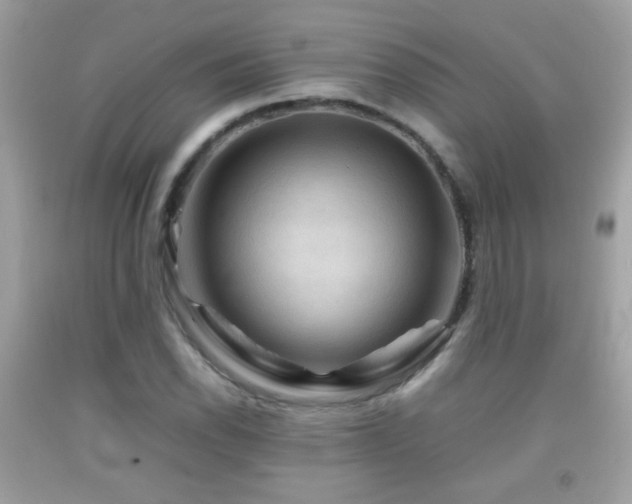 X0000092071118200709121411