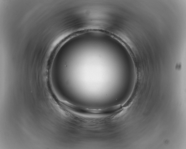X0000092071119200709121411