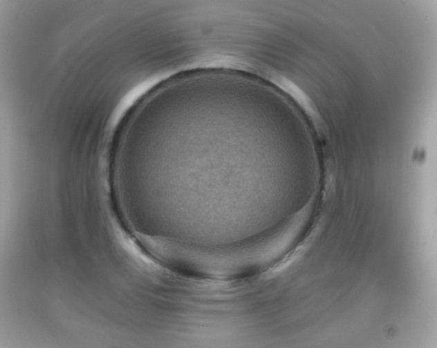 X0000092071120200709121411