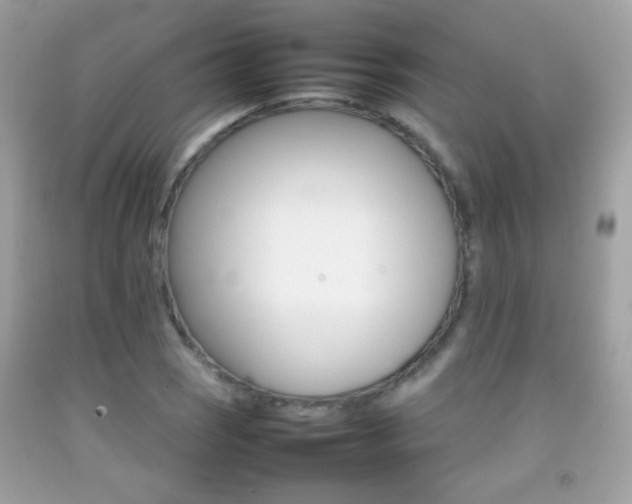 X0000092071121200709121411