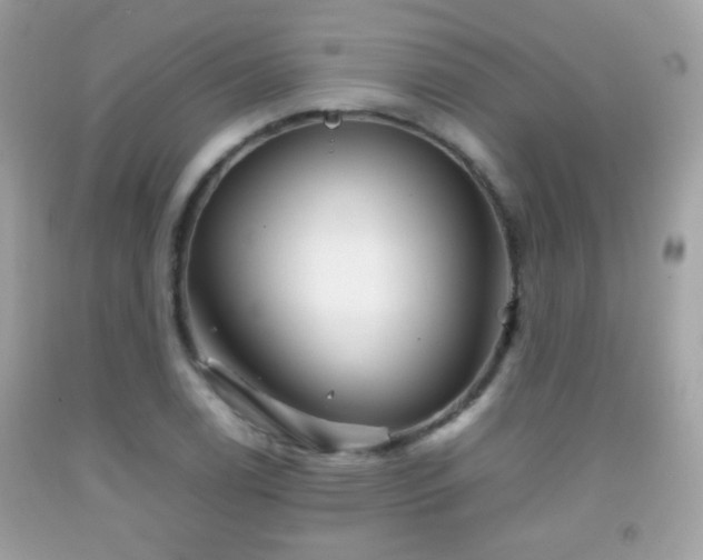 X0000092071122200709121411