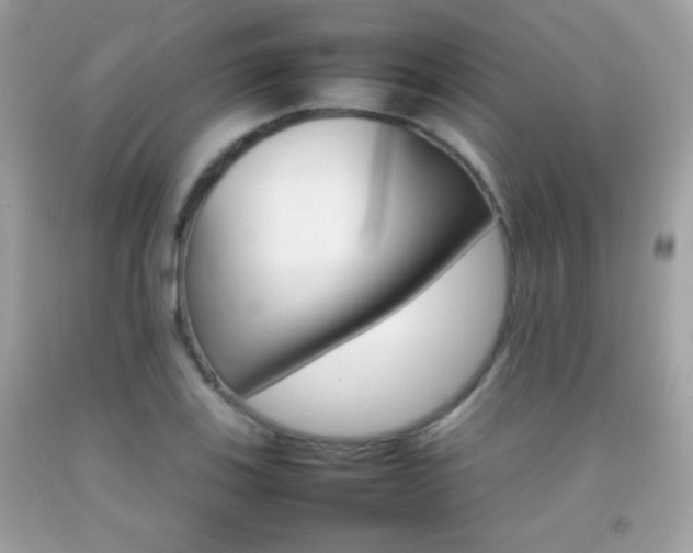X0000092071123200709121411