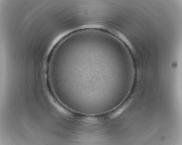 X0000092071124200709121411
