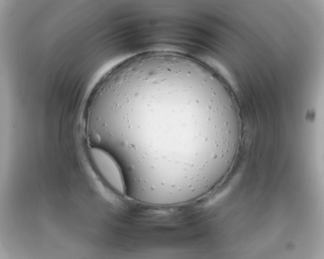 X0000092071125200709121411