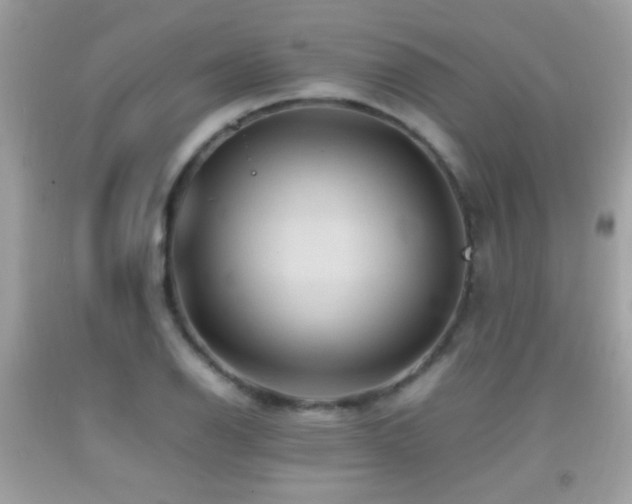 X0000092071126200709121411