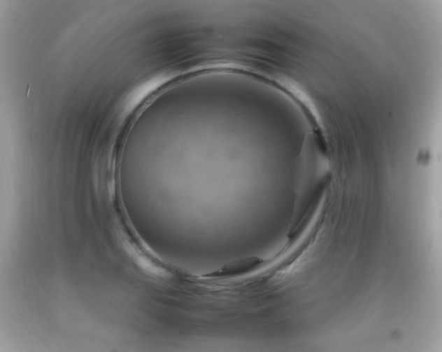 X0000092071127200709121411