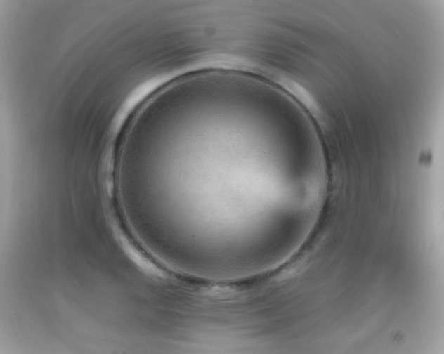 X0000092071128200709121411
