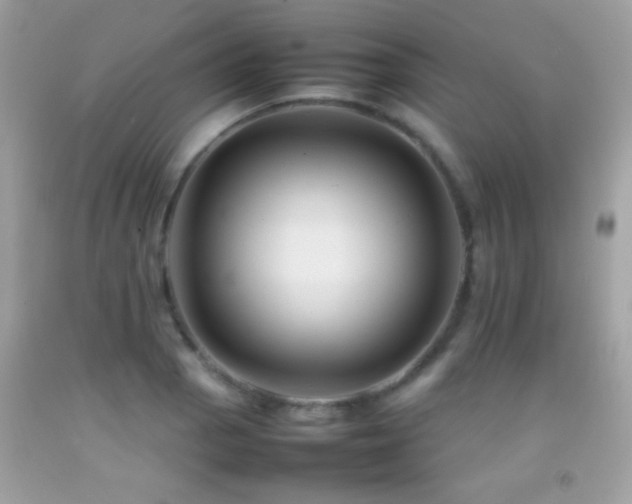 X0000092071129200709121411