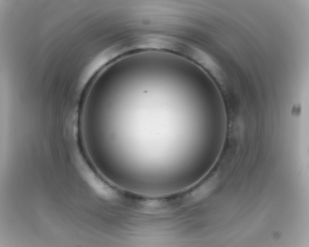 X0000092071130200709121411