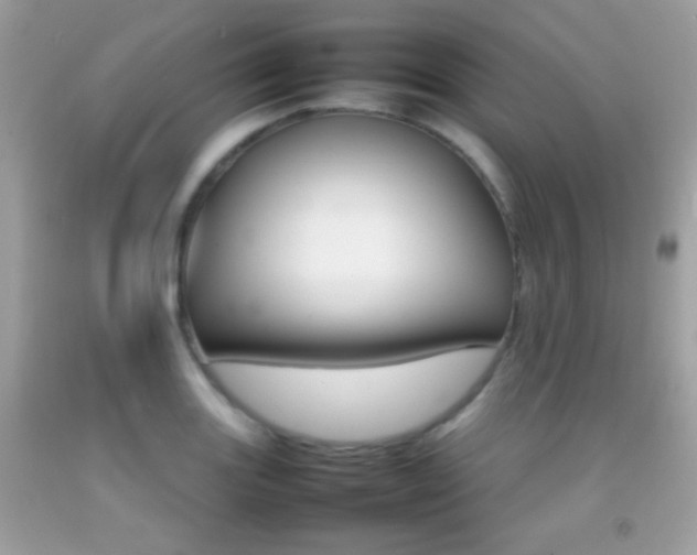 X0000092071131200709121411