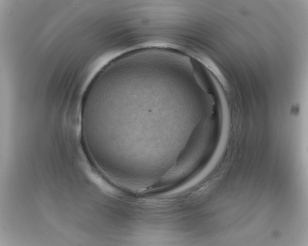 X0000092071132200709121411