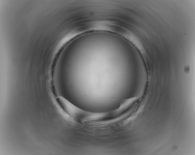 X0000092071133200709121411