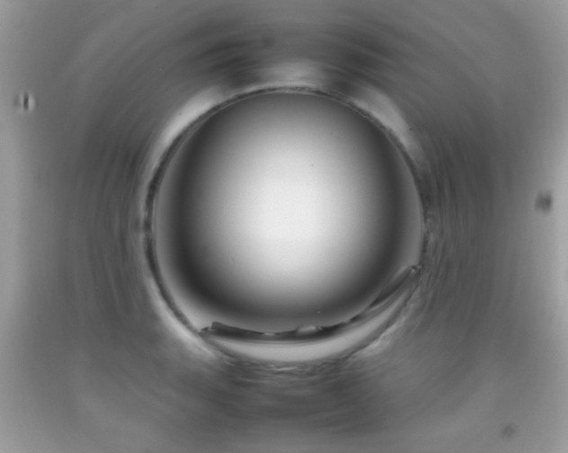 X0000092071135200709121411