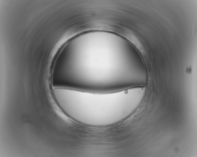 X0000092071136200709121411
