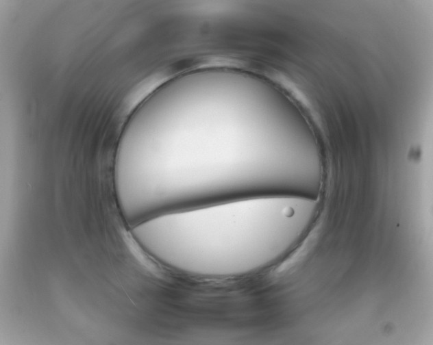 X0000092071137200709121411