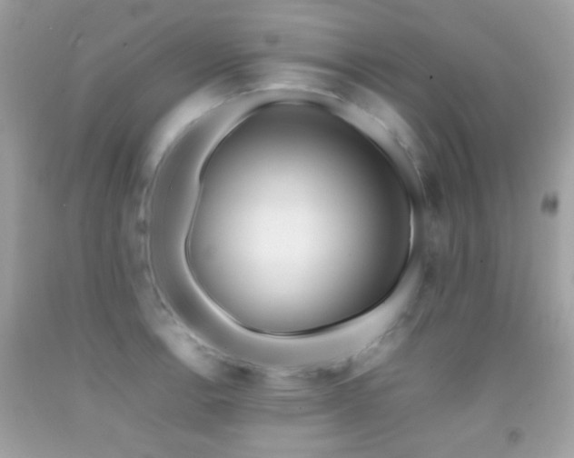 X0000092071138200709121411