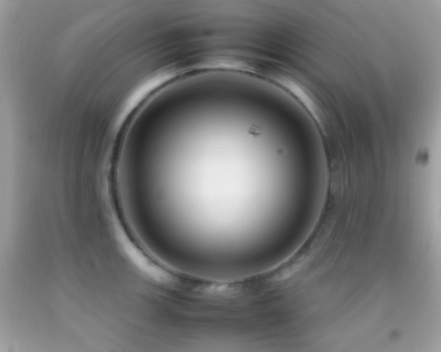 X0000092071139200709121411