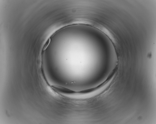 X0000092071140200709121411