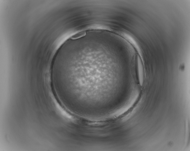 X0000092071141200709121411