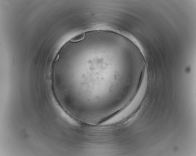 X0000092071142200709121411