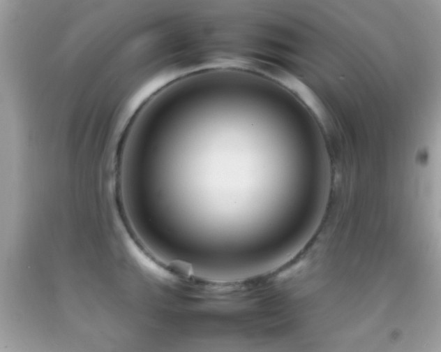X0000092071143200709121411