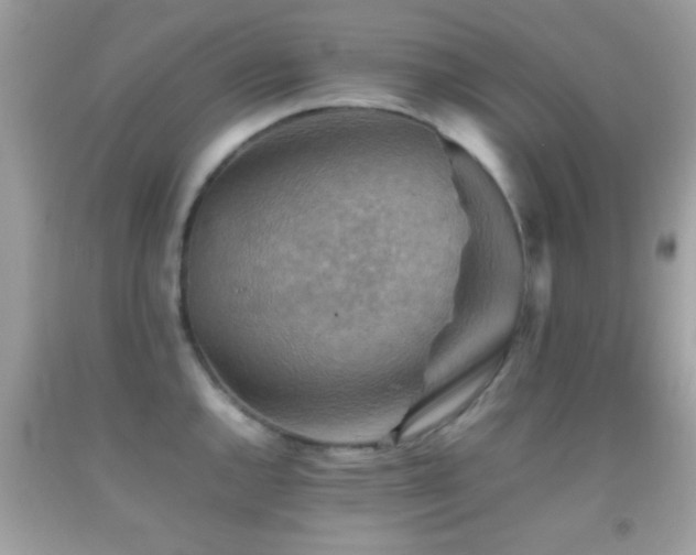X0000092071144200709121411
