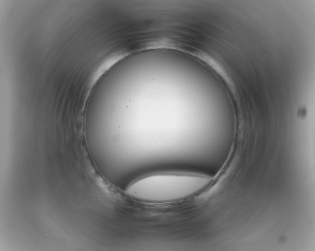 X0000092071145200709121411